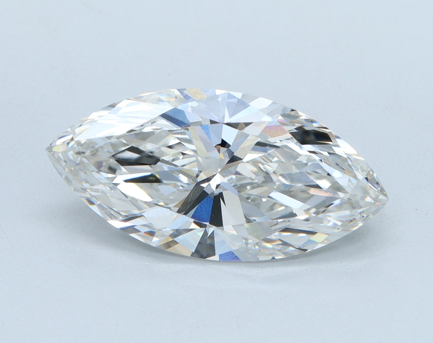 Marquise